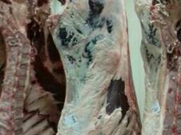 Мясо говядины