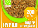 Оптом семена риса, люцерны и пшеницы - photo 3