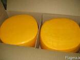 Оптом сырный продукт - фото 1