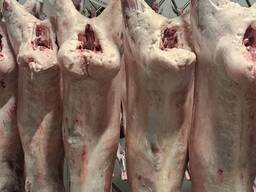 Оптом туши баранины