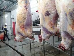 Оптовая продажа мяса говядины!