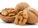 Орехи - фото 1
