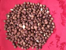 Орехи фундук