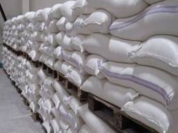Organic Wheat Grains Flour for Sale