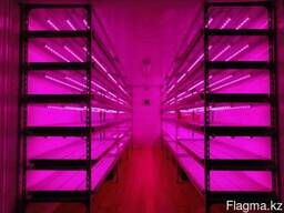 Освещение для стеллажей и рассады - Фитолампа 60 вт