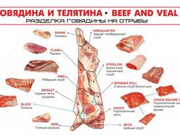 Отруба, разделка, говядина оптом
