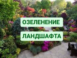 Озеленение посадка, пересадка, ландшафтный дизайн