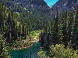 Кольсайские озера (Джип-тур) - 2 дня.