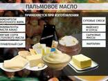 Пальмовый жир - фото 2