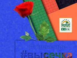 Фирменные папки для документации - дизайн и изготовление