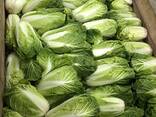 Пекинская капуста (пекинка) - photo 1