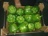 Перец - photo 3