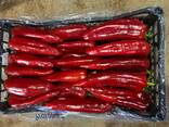 Перец свежий экспорт из Турции - photo 2
