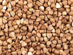 Продам гречку высший сорт