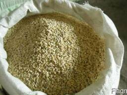 Перловая и Ячневая крупа