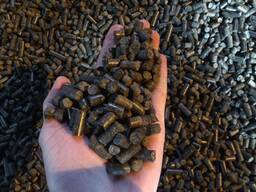 Пилеты подсолнечника-Sunflower pellets