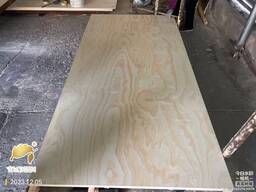Pine plywood：（сосновая фанера）