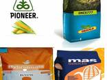 Пионер. Pioneer. Dks. KWS. МАЯМИ. Kaz seed. Жүгері тұқымы. Семена кукурузы. - фото 2