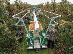 Платформа для сбора урожая и обрезки деревьев KROLIK NS-3 Superstructure