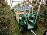 Платформа для сбора урожая и обрезки деревьев KROLIK NS-3 Superstructure - фото 1