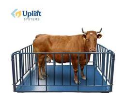 Подъёмник. Стационарный подъемник для погрузки и разгрузки животных.