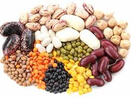 Покупаем Фасоль