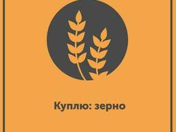 Покупка зерна и зерновых культур