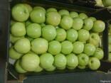 Польские Яблоки - photo 2