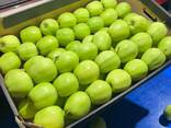 Польские яблоки оптом - photo 3