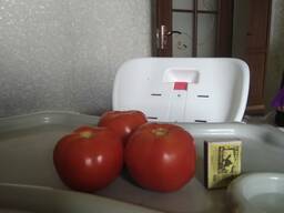Помидоры