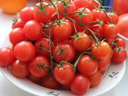 Помидоры "Черри" ОПТОМ из Турции