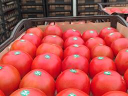 Помидоры из Туркменистана