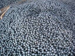 Куплю помольные, мелющие шары диаметра 40,60,100 мм.