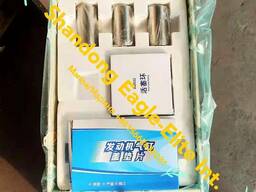 Поршневая группа WD618 Weichai Shacman Howo XCMG SHANTUI