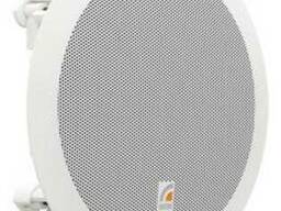 Потолочный громкоговоритель Roxton PA-620T