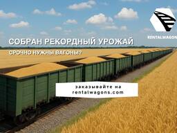 Предоставляем вагоны для перевозки зерна и сельхозпродукции