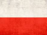Шақырулар (Zezwolenie na pracę typ A) 1-3 жылға (Voevudskie) - photo 2