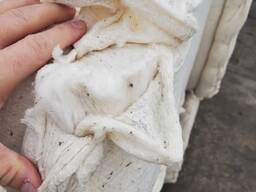 Продаем хлопок