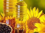 Продаем масло подсолнечное нерафинированное - фото 1