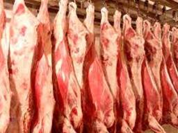 Продаем мясо говядина мясо (Быка, Коровы) Происхождение: Республика Беларусь
