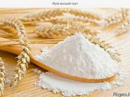 Продаем на экспорт оптом муку 1сорта