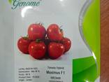Продаем семена томатов Китано - фото 2