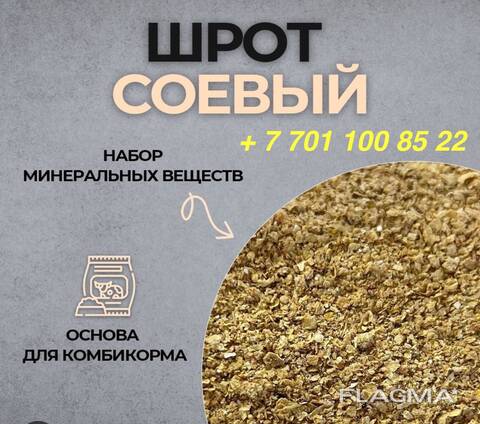 Продаем соевый шрот с высоким содержанием протеина