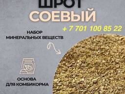 Продаем соевый шрот с высоким содержанием протеина