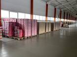 Продается лапша быстрого приготовления «Кеспебай» в крупных объемах - photo 6