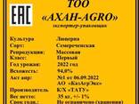 Продается семена люцерна - фото 3