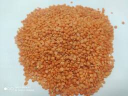 Продам чечевицу красную шлифованную.