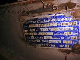 Продам э\двигатель асинхронный 250 кВт,2965 об/мин в количестве 4 шт
