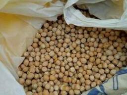 Продам горох