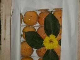 Продам хурма, Узбекистан, урожай 2016